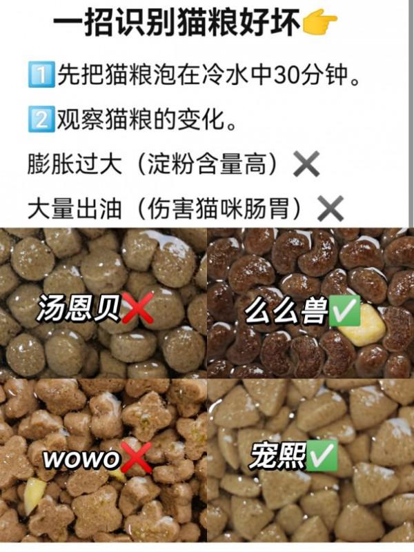 這麼簡單辨別貓糧的方法，你還不造？
