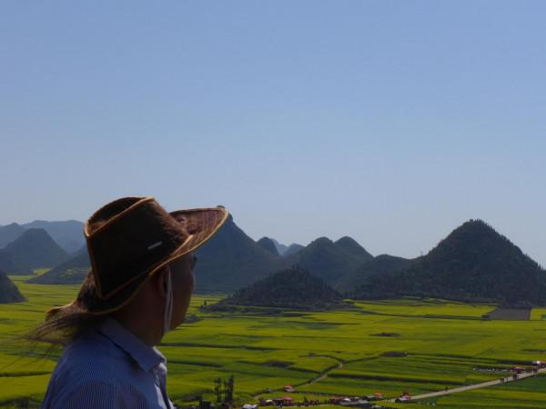 我對羅平的油菜花似乎也有&OpenCurlyDoubleQuote;七年之癢&rdquo;