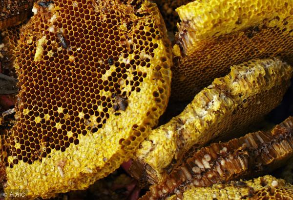 淺談真假蜂蜜價格