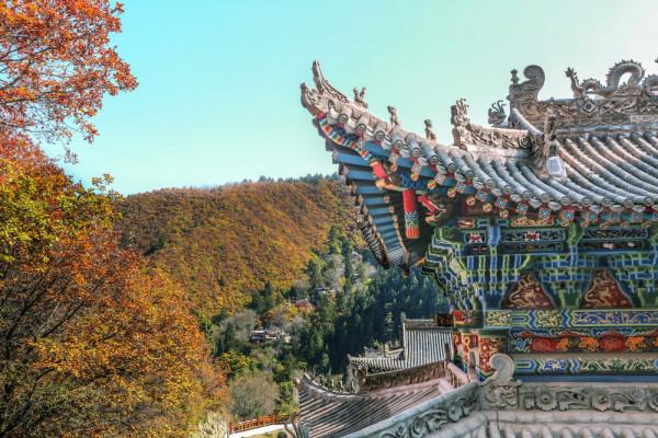 隴原秋意丨官鵝溝、興隆山、什川梨園 山水之間看秋色盡染