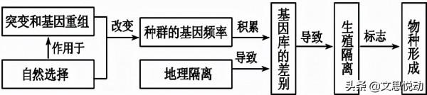 王東嶽184.費米悖論:外星人哪兒去了? 王東嶽184.費米悖論:外星人哪兒去了?