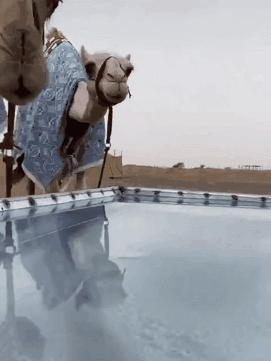 26張罕見的圖片,揭露事物鮮為人知的一面 26張罕見的圖片,揭露事物鮮為人知的一面