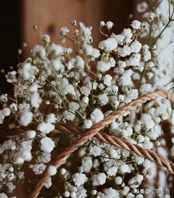 「理財知識」儲蓄要講方法,錢生錢有妙招 「理財知識」儲蓄要講方法,錢生錢有妙招