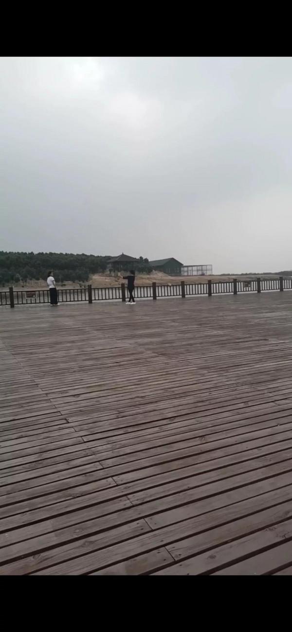 黃驊兩日遊之南大港溼地篇 黃驊兩日遊之南大港溼地篇