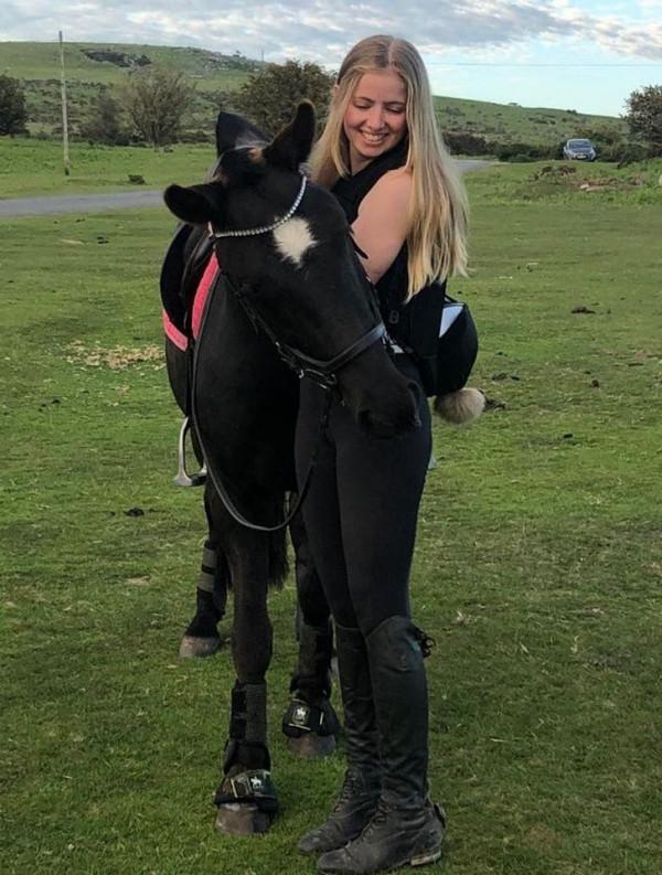 15只以上的寵物向人類表達了所有的愛 15只以上的寵物向人類表達了所有的愛