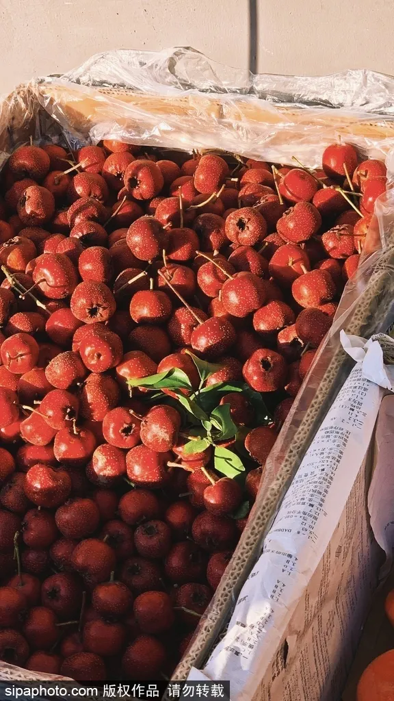 冬日漫步之旅,推開京城四合院的大門,竟發現別有洞天~ 冬日漫步之旅,推開京城四合院的大門,竟發現別有洞天~