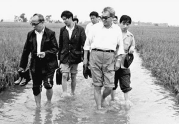 前省委書記毛致用,官至副國級,退休回家做農民種地,養鴨、餵魚 前省委書記毛致用,官至副國級,退休回家做農民種地,養鴨、餵魚