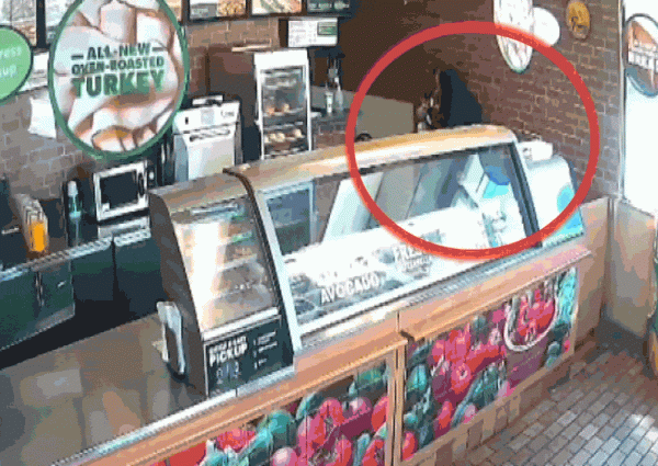 美國一女店員“反殺”持槍劫匪，釋出影片後卻被停職