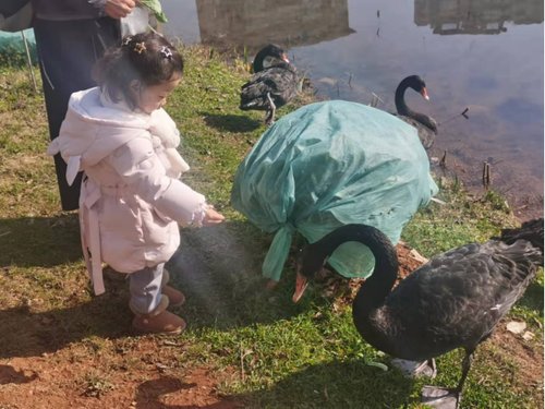 板式房“沉浸式開箱”當你擁有一個不忍曬衣服的超大陽臺是一種什麼體驗 板式房“沉浸式開箱”當你擁有一個不忍曬衣服的超大陽臺是一種什麼體驗