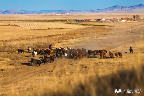 9月第一波秋色來啦!北方最美的6個好去處,開啟自駕遊之旅 9月第一波秋色來啦!北方最美的6個好去處,開啟自駕遊之旅