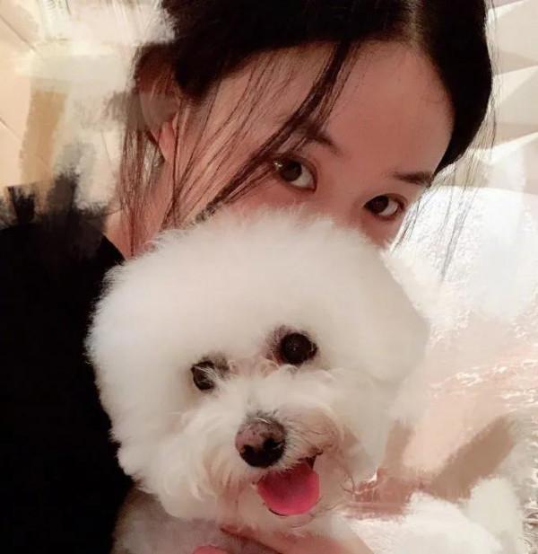 趙麗穎拍攝妻子的秘密的時候把毛球帶回家，如今已經陪伴穎寶十年