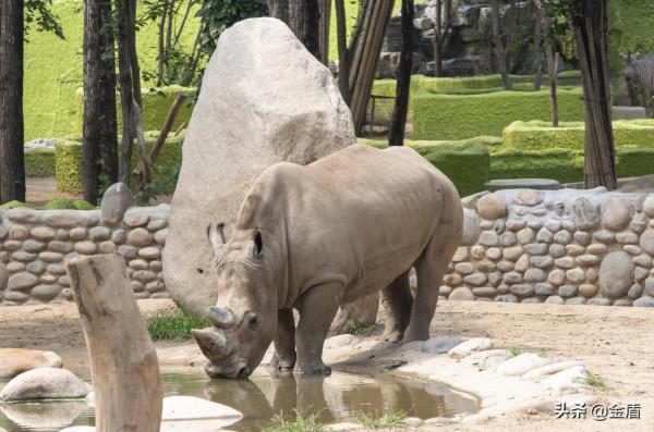 野生動物園的動物惹人喜愛,遊人對每一種動物都充滿興趣 野生動物園的動物惹人喜愛,遊人對每一種動物都充滿興趣