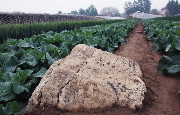 高僅0.6米的“山”，是文物保護單位，還是旅遊開發的“噱頭”？