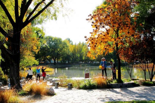 北京玉淵潭公園:深秋美景醉煞人 #秋日好時光##小生活,大財富# 北京玉淵潭公園:深秋美景醉煞人 #秋日好時光##小生活,大財富#