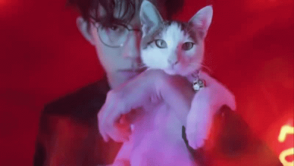 男明星的溫柔與寵溺都給了萌寵,好羨慕 男明星的溫柔與寵溺都給了萌寵,好羨慕