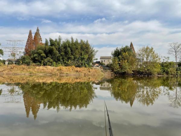 2022開杆記錄、期待今年的大鯽大鯉