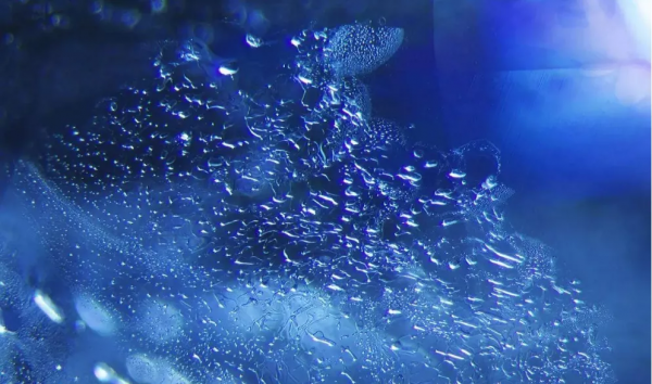 寶知道｜寶石原來也有“指紋”