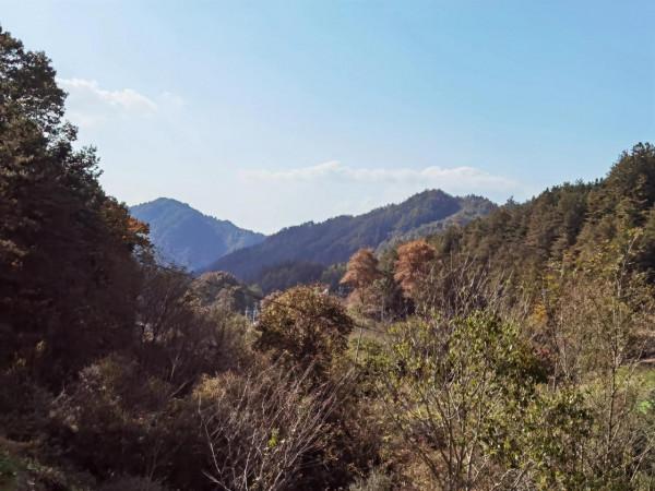 秋染大別山，最美是英山