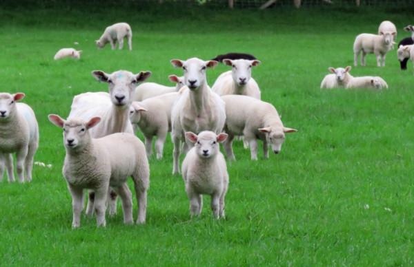 與“殺人狂”擦肩而過