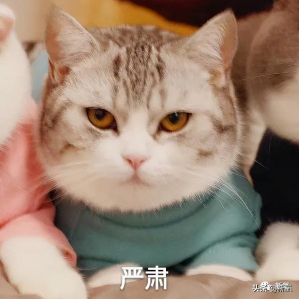 人不可貌相？為什麼有人一看就不像好人