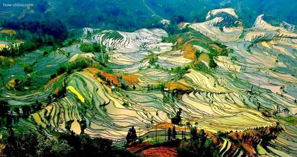 仙境一般的梯田美景，氣勢磅礴壯觀，無與倫比