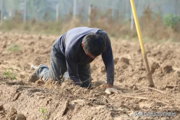 這才是真實的十月鄉村，純樸而美好，看後彷彿回了一次老家