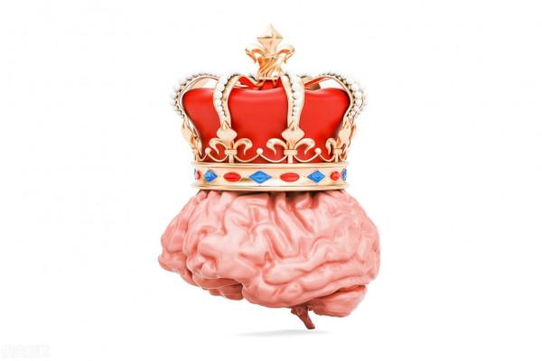 《全腦教養法》如何教會孩子自我控制整合上下腦? 《全腦教養法》如何教會孩子自我控制整合上下腦?