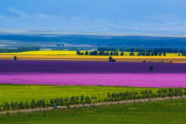 這些小眾旅行地，我每個都想去。你呢？