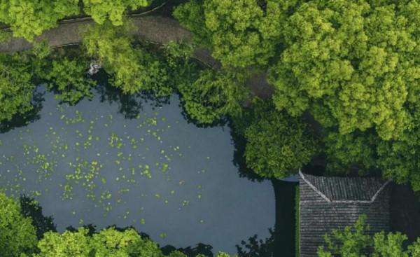 每平造價2000元以上的園景,它究竟是個什麼景? 每平造價2000元以上的園景,它究竟是個什麼景?