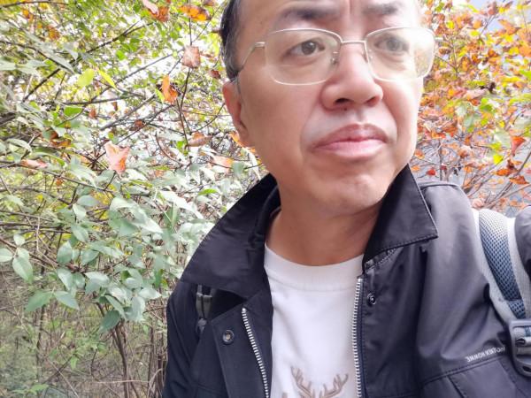 圭峰紅葉遍山,九小時歷程卻讓人驚心 圭峰紅葉遍山,九小時歷程卻讓人驚心