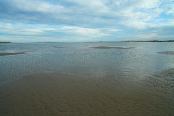 一路向東，乘“鴕鳥號”旅遊列車，從阿德萊德到巴拉瑞特