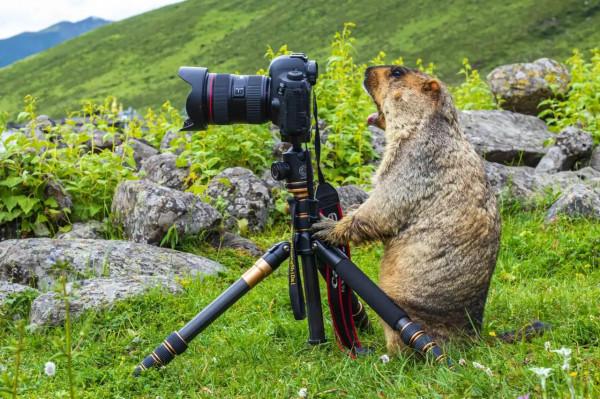 我把自己活成了無產者