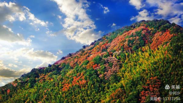 大美莽山(上) 大美莽山(上)