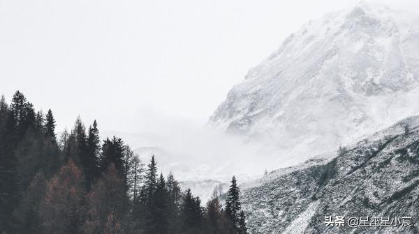 一月份後半段，能夠超越自我的星座，歷經挫折，淬火重生
