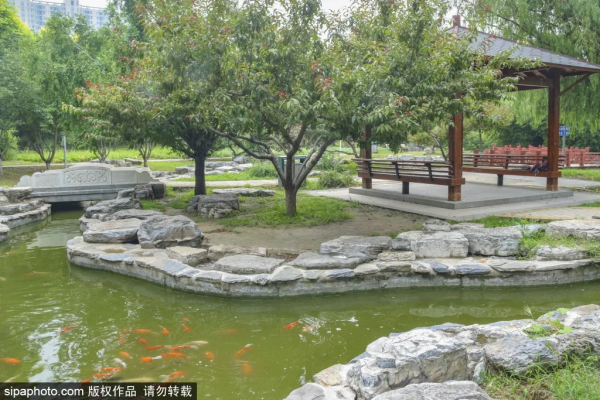 門票3毛錢！這個私家花園對外開放啦，有“佛香閣”，還有滿樹蘋果~