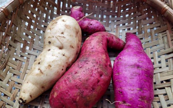 明日冬至,別忘記“吃2肉、食3菜、忌3樣”,家人幸福安康少生病 明日冬至,別忘記“吃2肉、食3菜、忌3樣”,家人幸福安康少生病