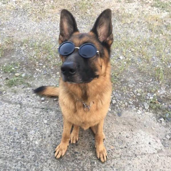 日本網友的魔性簡筆畫,太有靈魂了哈哈哈哈哈 日本網友的魔性簡筆畫,太有靈魂了哈哈哈哈哈