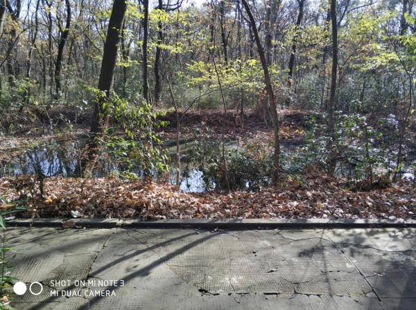 鐘山戴笠墓遺蹟