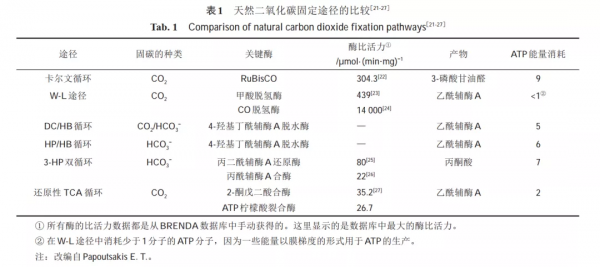 合成生物學技術助力生物固碳，溫室氣體成為第三代生物煉製原料