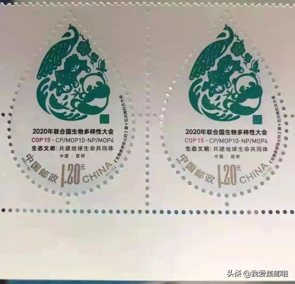 水滴形生物多樣性公約郵票圖稿公佈！發行量700萬