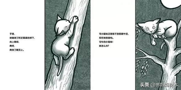 貓咪主題繪本推薦｜和孩子一同開啟喵星人的世界