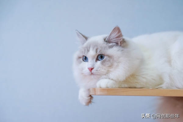 網際網路創業之資源對接體現得淋漓盡致的幾個案例？