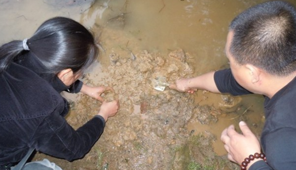 重新整理認知,釣魚偶遇放生魚卵者,放生者稱:剛從菜市場買的新鮮魚卵