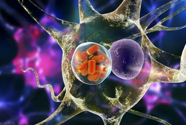 為啥狂犬病毒的致死率是99.99%,而不是100%,剩下的0.01%是誰? 為啥狂犬病毒的致死率是99.99%,而不是100%,剩下的0.01%是誰?