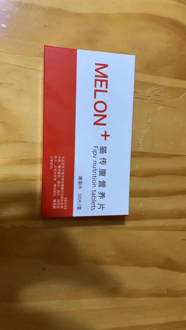 貓傳腹畢業啦 貓傳腹畢業啦