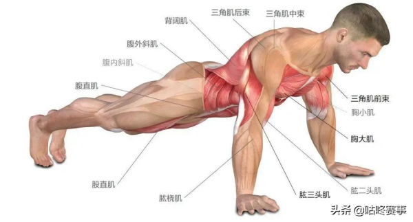 人體從34歲開始衰老？這6個動作，測試你身體是否還年輕