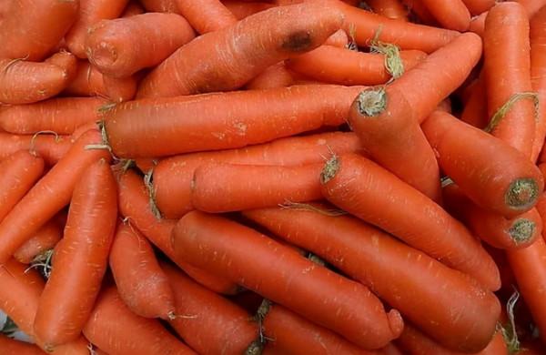 5種蔬菜是長高的&OpenCurlyDoubleQuote;助力劑&rdquo;？醫生建議：平時可以讓孩子多吃一些