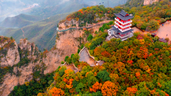 紅遍全國！央視正直播！雲臺山萬畝紅葉迎最佳觀賞期