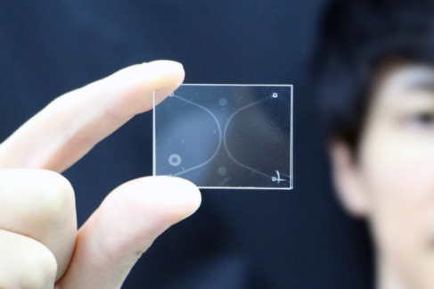 全球首發！奈米級可控氣液介面問世