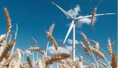 特斯拉，谷歌，臉書，這些科技巨頭為何紛紛搶做賣炭翁？